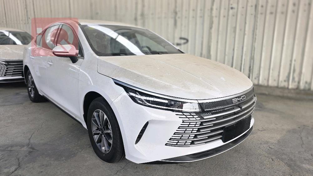 بي واي دي ديستروير 05